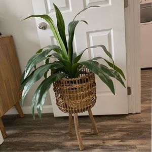 Fake plant with stand from Homegoods